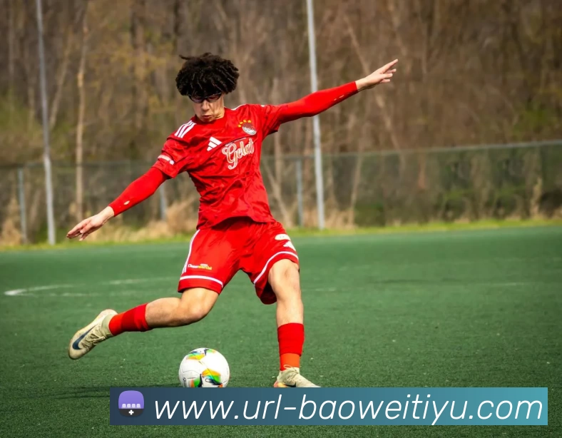 宝威体育发展历程